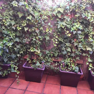 Bonito Piso Centro De Boliches Apartamento Fuengirola